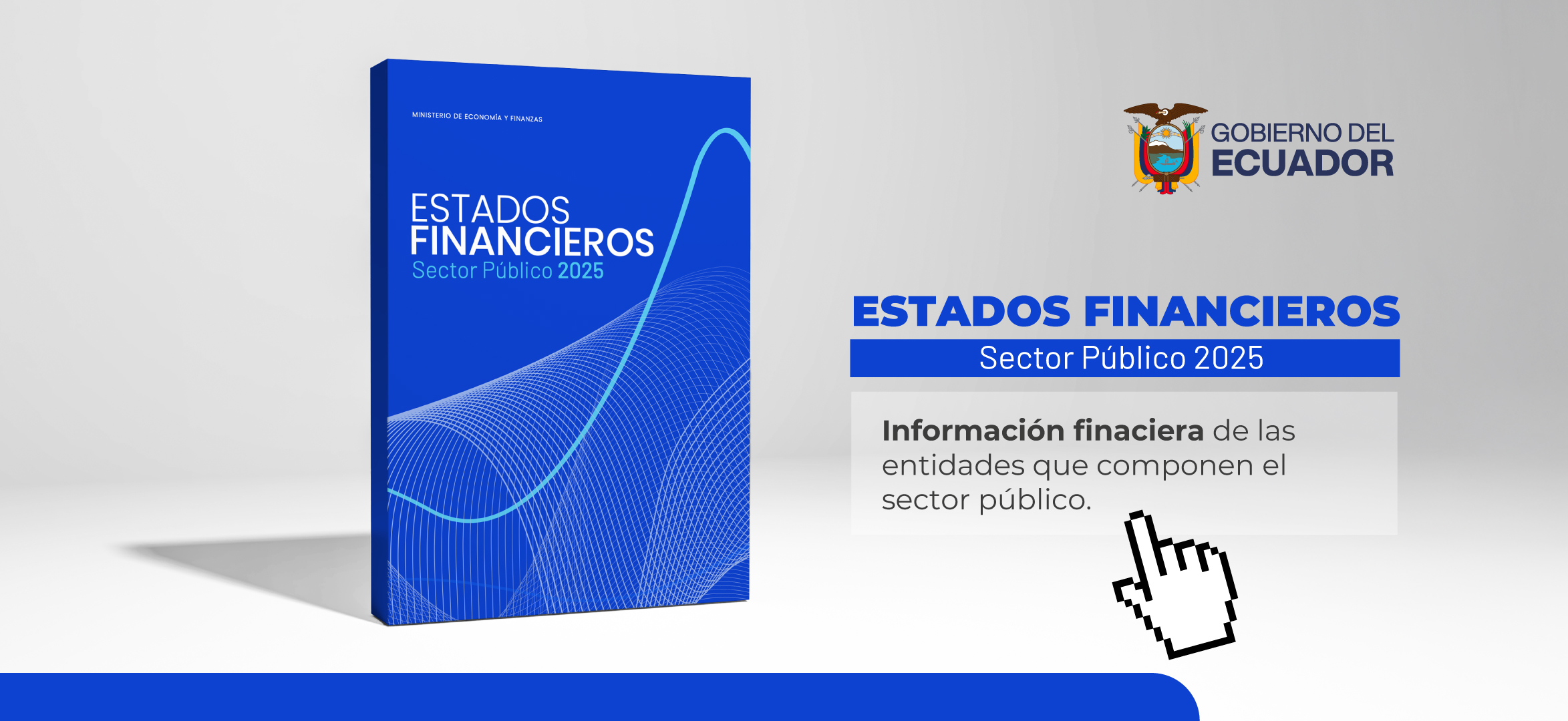 Estados Financieros Sector Público 2025